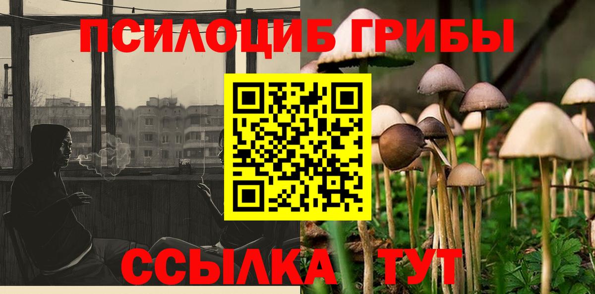 Галлюциногенные грибы MAGIC MUSHROOMS  Псилоцибиновые грибы Cubensis  Вход с VPN  купить наркоту  Новоалександровск 